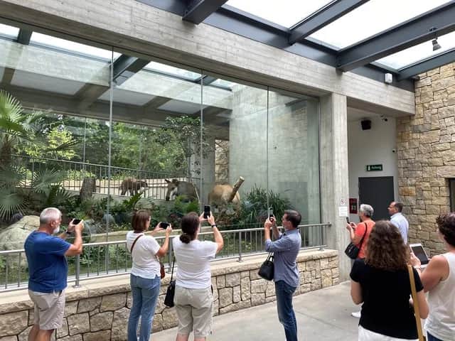 Ferienaktion: Kleiner Tropenforscher im Tierpark Hagenbeck
