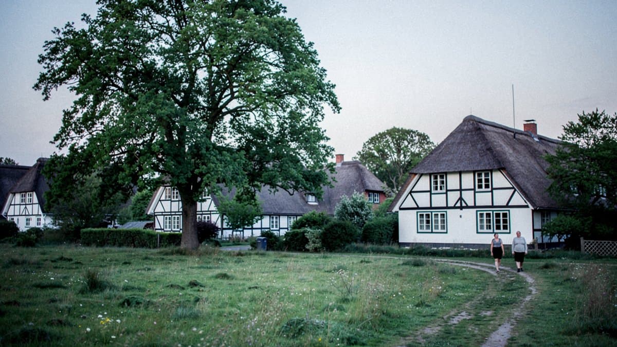 KI-generiertes Bild zu Bauernhof und Café Eggers