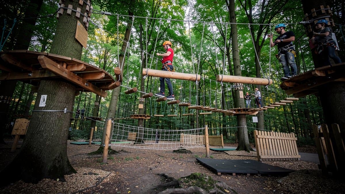 KI-generiertes Bild zu Kletterwald Hamburg