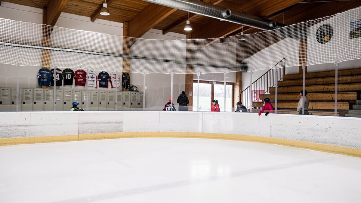 KI-generiertes Bild zu Elbe Ice Stadion Brokdorf