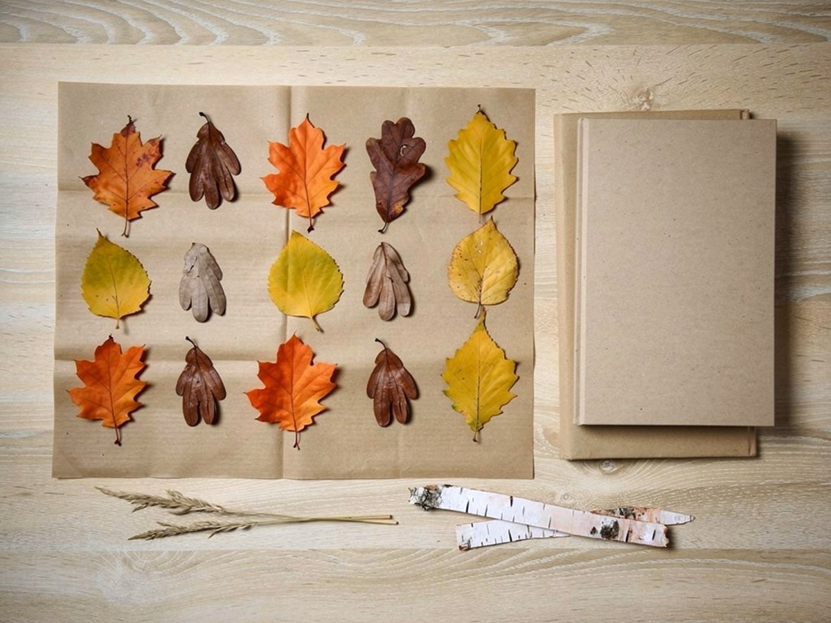 Auf einem Bogen braunem Packpapier liegen gepaarte Herbstblätter flach nebeneinander, ohne sich zu überlappen; daneben die zwei schweren Bücher und Rindenstreifen liegen schon beiseite.